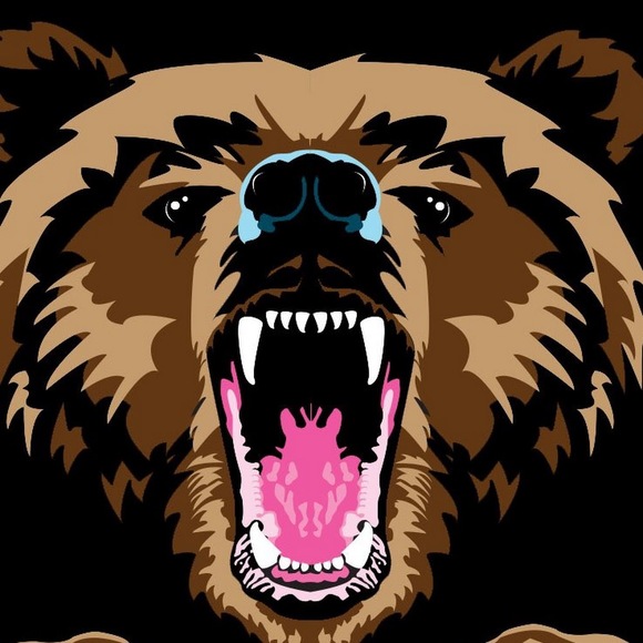 Meet your Posher, Grizzly - Picture 1 of 1